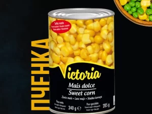 483534784_9230227843693254_1786096142070409416_n 483534784_9230227843693254_1786096142070409416_n