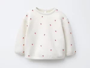 01165500806-e1 01165500806-e1