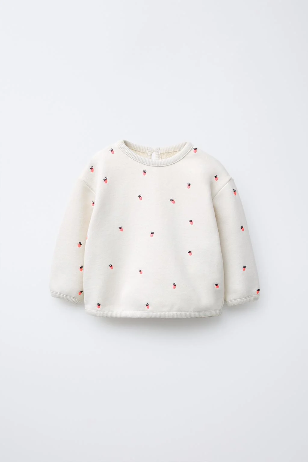 01165500806-e1 01165500806-e1