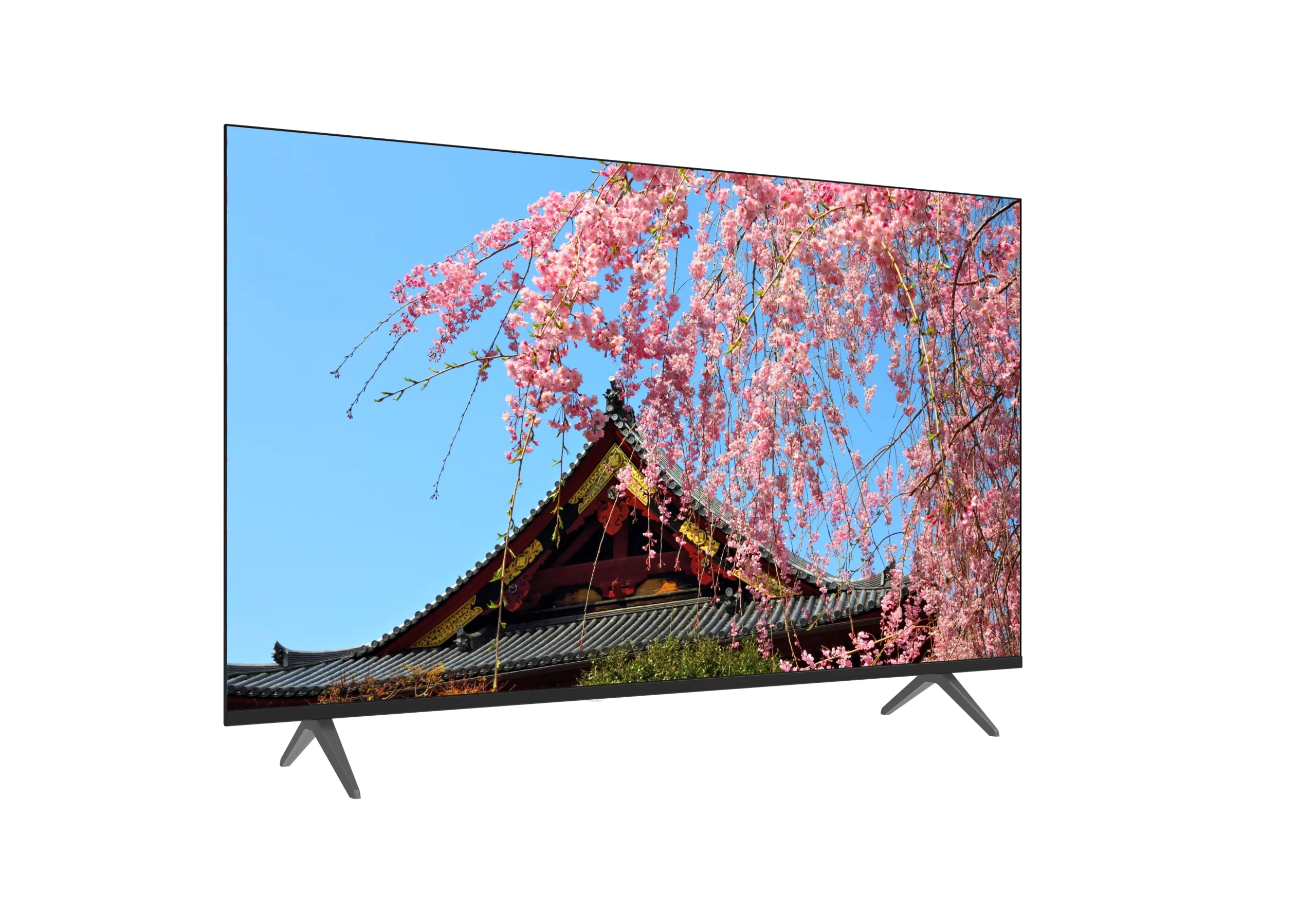 perspective_view55 perspective_view55