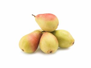 0003995_pears-santa-maria-kg- 0003995_pears-santa-maria-kg-