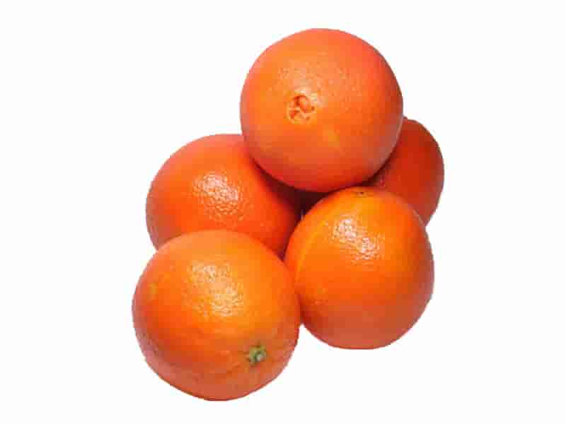 0003996_portakal-kg-r 0003996_portakal-kg-r