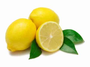 0003997_limon-kg-r 0003997_limon-kg-r