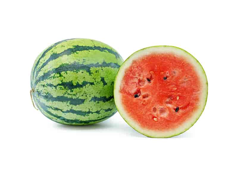 0004003_watermelon-kg 0004003_watermelon-kg