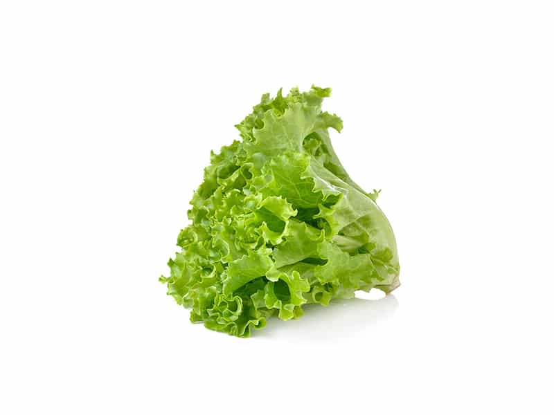 0004014_marula-zelena-pare-r 0004014_marula-zelena-pare-r