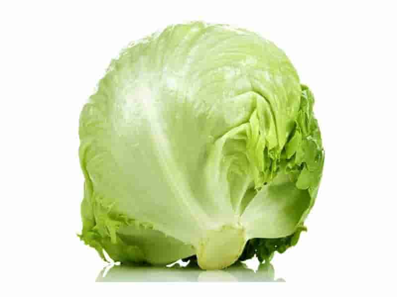 0004015_gobek-marul-kg--(r)- 0004015_gobek-marul-kg--(r)-