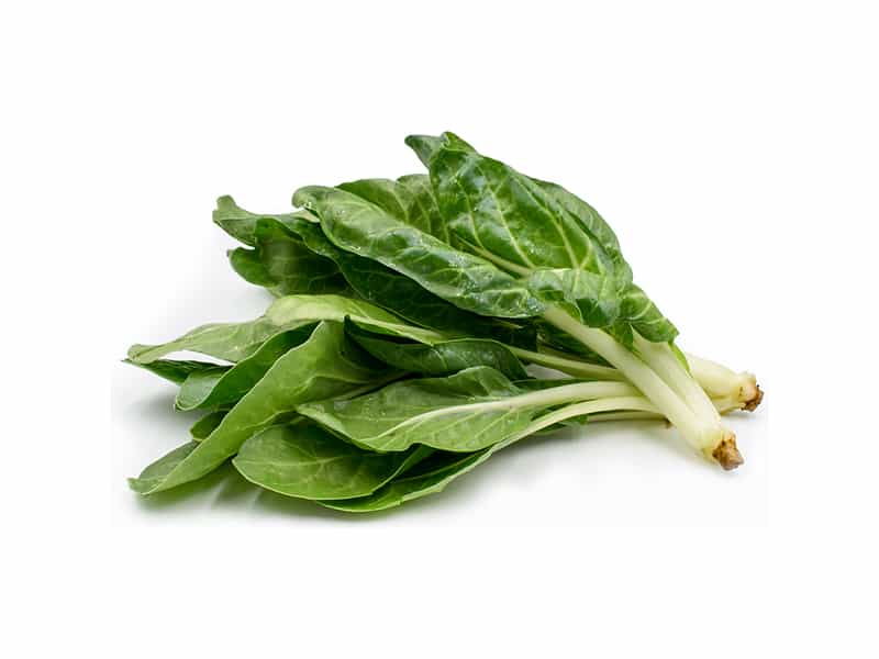 0004016_chard-leaves-piece- 0004016_chard-leaves-piece-