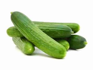 0004023_salatalik-kg-r 0004023_salatalik-kg-r