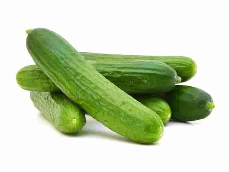 0004023_salatalik-kg-r 0004023_salatalik-kg-r