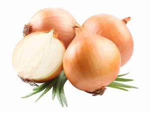 0004024_orange-onion-kg-r 0004024_orange-onion-kg-r