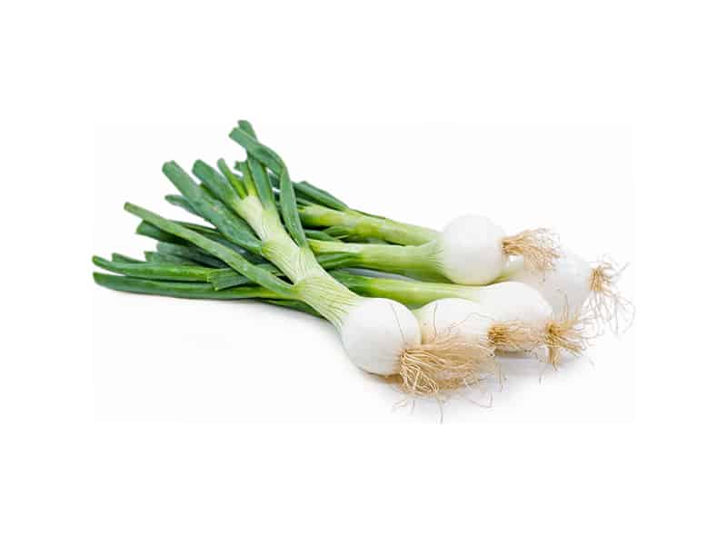 0004025_kromid-mlad-kitka-pare-r 0004025_kromid-mlad-kitka-pare-r