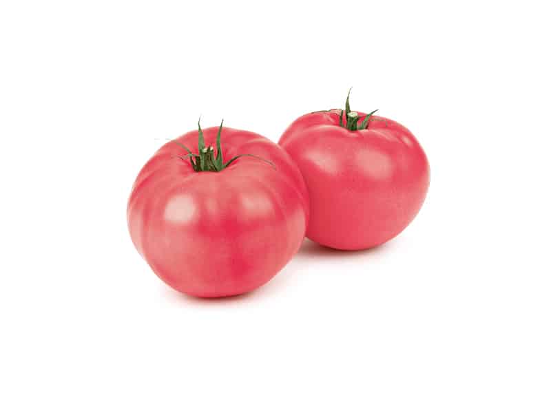 0004036_pink-tomato-kg- 0004036_pink-tomato-kg-