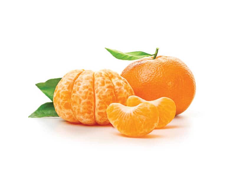 0006382_mandarina-kg-r 0006382_mandarina-kg-r