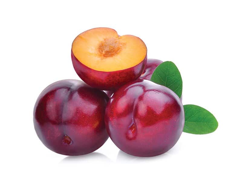 0006383_yuvarlak-ithal-erik-kg--(r) 0006383_yuvarlak-ithal-erik-kg--(r)