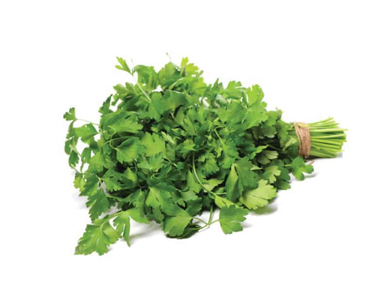 0006401_fransiz-maydonozu-demet---parca-(r) 0006401_fransiz-maydonozu-demet---parca-(r)