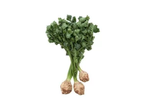 0008604_celery-piece 0008604_celery-piece