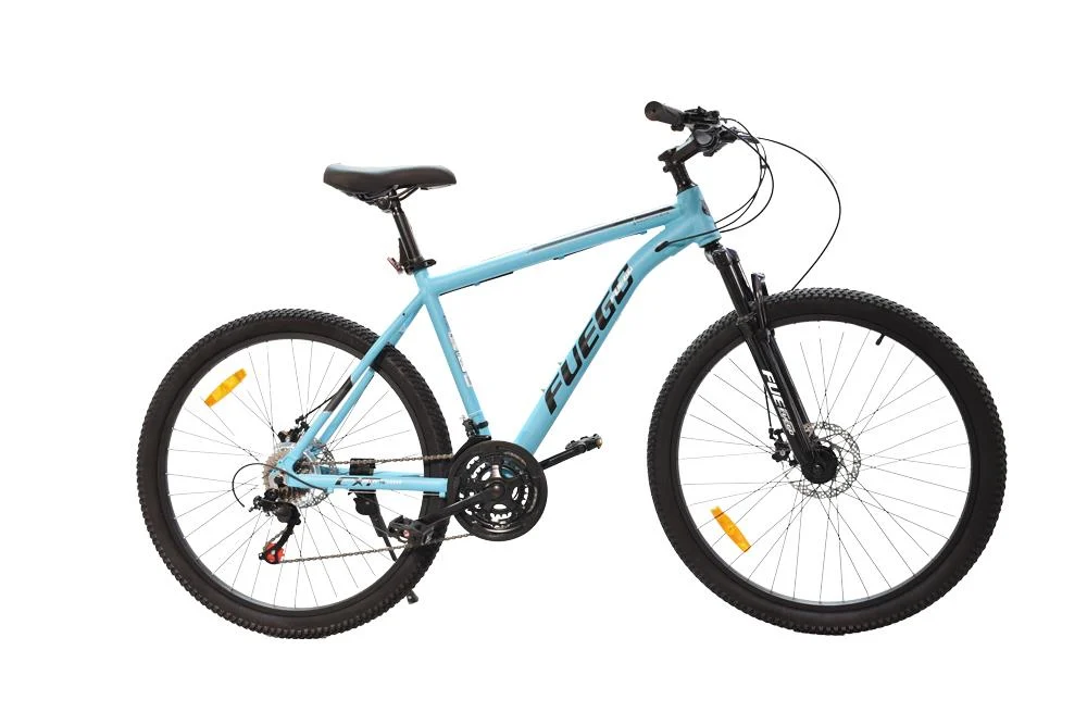 1747408717-13 1747408717-13