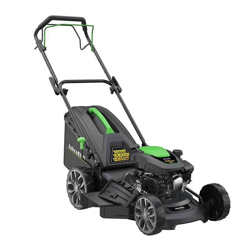 1747637843-7 1747637843-7