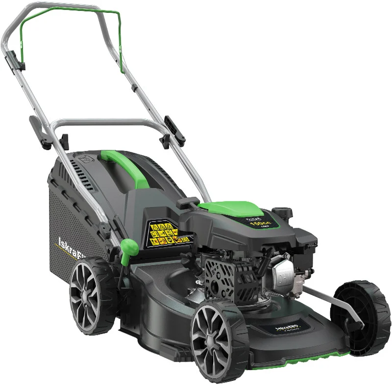 1747637846-8 1747637846-8