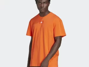 1747750995-232 1747750995-232