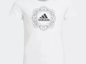 1747814358-223 1747814358-223