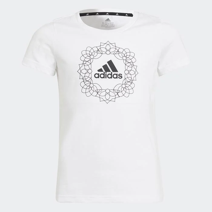 1747814358-223 1747814358-223