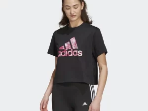 1747815054-446 1747815054-446