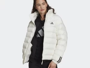 1747815155-478 1747815155-478