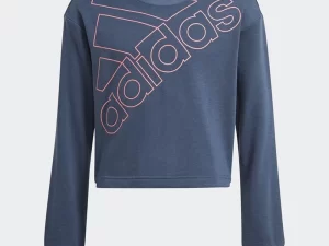 1747815209-496 1747815209-496