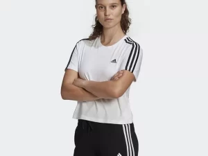 1747815299-524 1747815299-524