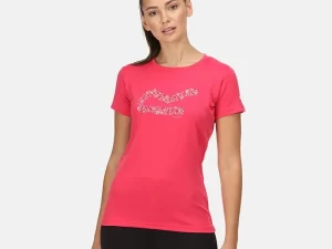 1747815433-567 1747815433-567