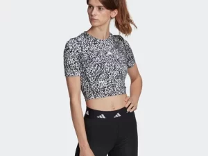 1747816244-824 1747816244-824