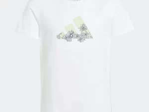 1747816298-842 1747816298-842