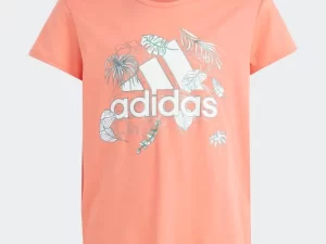 1747816963-1057 1747816963-1057