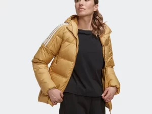 1747818019-1395 1747818019-1395