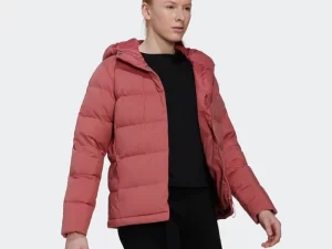 1747818118-1426 1747818118-1426