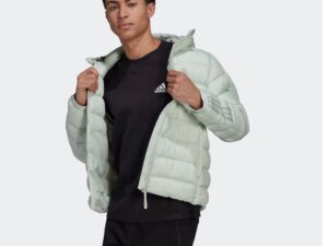 1747829384-244-1.jpg 1747829384-244-1.jpg