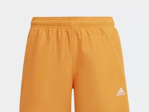 1747829865-393 1747829865-393