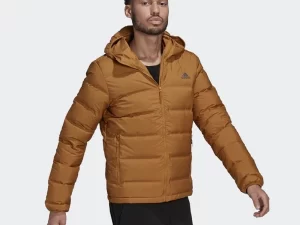 1747829949-420 1747829949-420