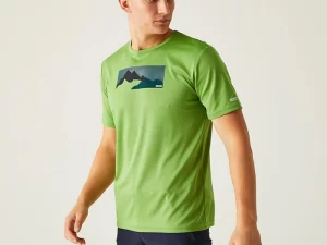 1747830033-446 1747830033-446