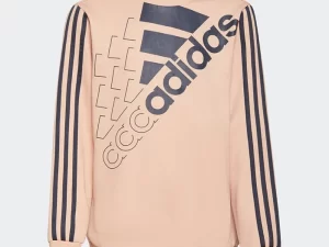 1747831094-776 1747831094-776