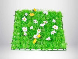 1748936345-3_compressed 1748936345-3_compressed