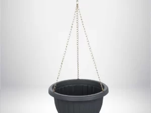 1748936482-46_compressed