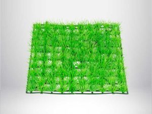 1748936493-50_compressed