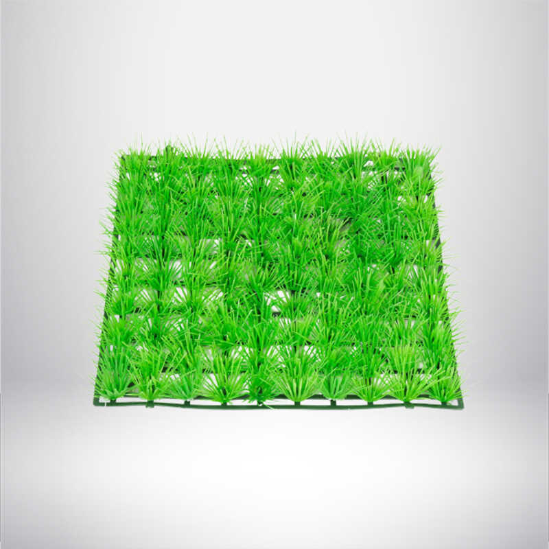 1748936493-50_compressed 1748936493-50_compressed