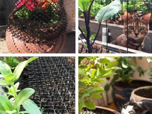 1748936516-58_compressed