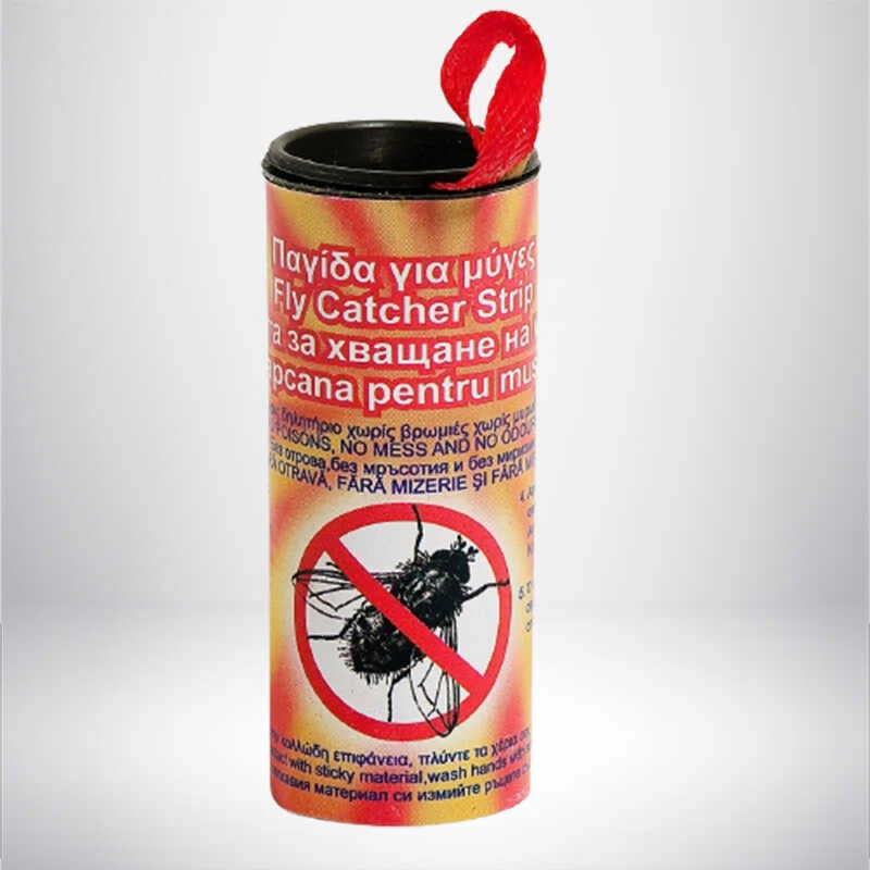 1748936523-60_compressed 1748936523-60_compressed