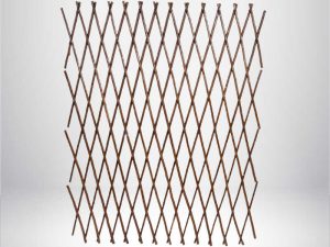 1748936534-64_compressed