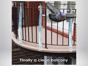 1748936537-65_compressed