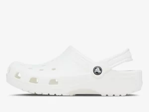 1750070691-170 1750070691-170